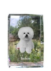 Artdog Bichon Frise, Tenerife Dog - kristal s fotografijo psa, fotografija v steklu, sodobna fotografska razstava Art-Dog