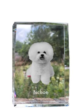 Artdog Bichon Frise, Tenerife Dog - kristal s fotografijo psa, fotografija v steklu, sodobna fotografska razstava Art-Dog
