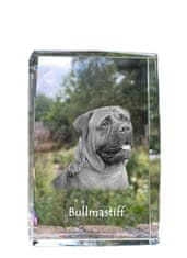 Artdog Bulmastif, Bulmastif - kristal s fotografijo psa, fotografija v steklu, sodobna fotografska razstava Art-Dog