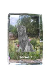 Artdog Hovawart - kristal s fotografijo psa, fotografija v steklu, sodobna razstava fotografij blagovne znamke Art-Dog