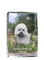 Artdog Dandie Dinmont terier - kristal s fotografijo psa, fotografija v steklu, sodobna fotografska razstava Art-Dog