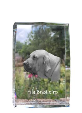 Artdog Fila Brasileiro, brazilski mastif - kristal s fotografijo psa, fotografija v steklu, sodobna fotografska razstava Art-Dog