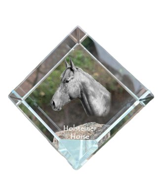 Artdog Holstein konj - kristalna kocka s fotografijo konja, fotografija konja v kristalu, kubični obtežilnik za papir Art-Dog
