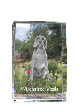 Artdog Pointer - kristal s fotografijo psa, fotografija v steklu, sodobna razstava fotografij blagovne znamke Art-Dog
