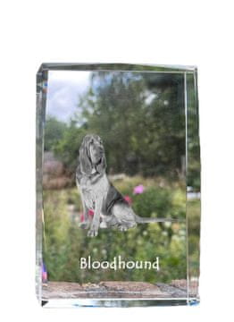 Artdog Bloodhound, Saint's Dog Hubert - kristal s fotografijo psa, fotografija v steklu, sodobna razstava fotografij znamke Art-Dog