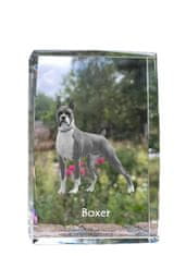 Artdog Boxer, Boxer I - kristal s fotografijo psa, fotografija v steklu, sodobna fotografska razstava Art-Dog