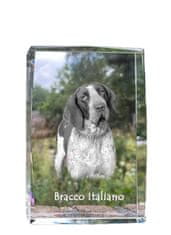 Artdog Italijanski kratkodlaki ptičar, italijanski ptičar - kristal s fotografijo psa, fotografija v steklu, sodobna fotografska razstava Art-Dog