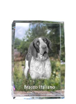 Artdog Italijanski kratkodlaki ptičar, italijanski ptičar - kristal s fotografijo psa, fotografija v steklu, sodobna fotografska razstava Art-Dog