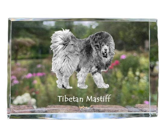Artdog Tibetanski mastif, tibetanska nemška doga - kristal s fotografijo psa, fotografija v steklu, sodobna fotografska razstava znamke Art-Dog