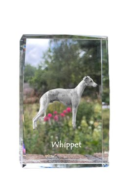 Artdog Whippet, angleški hrt - kristal s fotografijo psa, fotografija v steklu, sodobna fotografska razstava Art-Dog