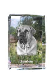 Artdog Boerboel, južnoafriški mastif - kristal s fotografijo psa, fotografija v steklu, sodobna fotografska razstava Art-Dog