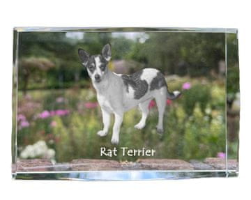 Artdog Podganji terier - kristal s fotografijo psa, fotografija v steklu, sodobna fotografska razstava Art-Dog