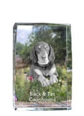 Artdog Black and tan coonhound I - kristal s fotografijo psa, fotografija v steklu, razstava modernih fotografij Art-Dog