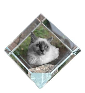 Artdog Birman - kristalna kocka s fotografijo mačke, fotografija konja v kristalu, kubični obtežilnik za papir Art-Dog