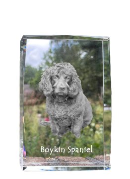 Artdog Boykin Spaniel - kristal s fotografijo psa, fotografija v steklu, sodobna fotografska razstava Art-Dog