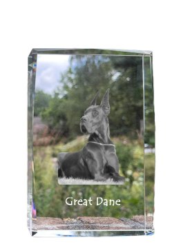 Artdog Nemška doga I - kristal s fotografijo psa, fotografija v steklu, sodobna razstava fotografij blagovne znamke Art-Dog