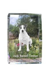 Artdog Jack Russell terier - kristal s fotografijo psa, fotografija v steklu, sodobna fotografska razstava Art-Dog