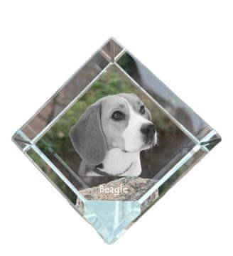 Artdog Beagle - kristalna kocka s fotografijo, fotografija konja v kristalu, kubični obtežilnik za papir Art-Dog