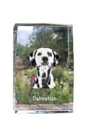 Artdog Dalmatinec, dalmatinski ptičar - kristal s fotografijo psa, fotografija v steklu, razstava modernih fotografij Art-Dog