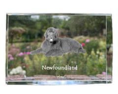 Artdog Newfoundland, Newfoundland, Wodołaz - kristal s fotografijo psa, fotografija v steklu, sodobna fotografska razstava blagovne znamke Art-Dog