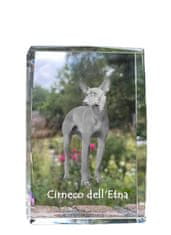 Artdog Cirneco dell'Etna, Sicilijanski hrt - kristal s fotografijo psa, fotografija v steklu, sodobna fotografska razstava Art-Dog
