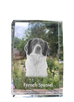 Artdog Francoski španjel, Francoski španjel - kristal s fotografijo psa, fotografija v steklu, sodobna fotografska razstava Art-Dog