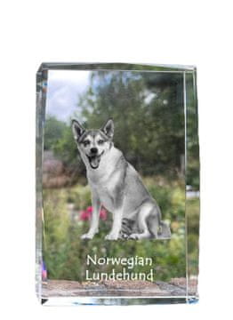 Artdog Norveški puffin dog, norveški lundehund - kristal s fotografijo psa, fotografija v steklu, sodobna fotografska razstava Art-Dog