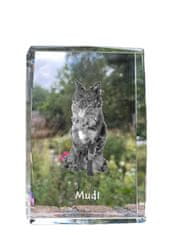 Artdog Madžarski ovčar Mudi - kristal s fotografijo psa, fotografija v steklu, sodobna fotografska razstava Art-Dog