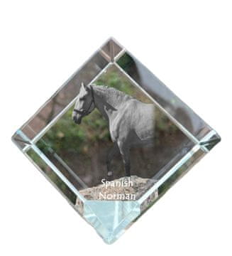 Artdog Španski Norman - kristalna kocka s fotografijo konja, fotografija konja v kristalu, kubični obtežilnik za papir Art-Dog