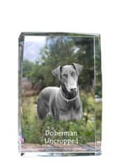 Artdog Doberman, Dobermann I - kristal s fotografijo psa, fotografija v steklu, sodobna fotografska razstava znamke Art-Dog