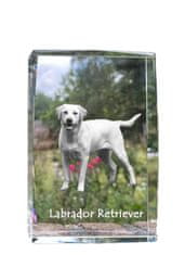Artdog Labradorec I - kristal s fotografijo psa, fotografija v steklu, sodobna fotografska razstava Art-Dog
