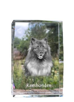 Artdog Wolf Spitz, Keeshond - kristal s fotografijo psa, fotografija v steklu, sodobna fotografska razstava Art-Dog
