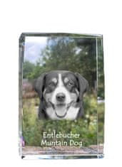 Artdog Entlebucher - kristal s fotografijo psa, fotografija v steklu, sodobna fotografska razstava Art-Dog
