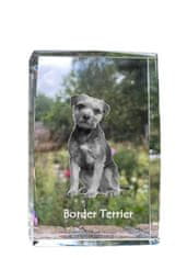 Artdog Border Terrier - kristal s fotografijo psa, fotografija v steklu, sodobna fotografska razstava znamke Art-Dog
