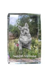 Artdog Swedish Vallhund, Swedish Sheepdog - kristal s fotografijo psa, fotografija v steklu, razstava modernih fotografij Art-Dog