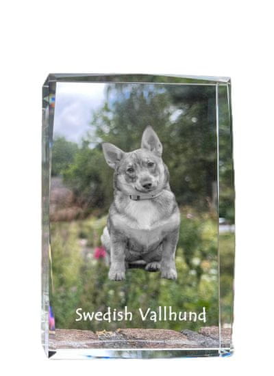 Artdog Swedish Vallhund, Swedish Sheepdog - kristal s fotografijo psa, fotografija v steklu, razstava modernih fotografij Art-Dog