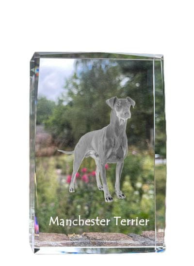 Artdog Manchester terier - kristal s fotografijo psa, fotografija v steklu, sodobna fotografska razstava znamke Art-Dog