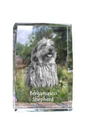 Artdog Bergamasco, Bergamo Sheepdog - kristal s fotografijo psa, fotografija v steklu, sodobna fotografska razstava Art-Dog