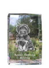 Artdog Bolonka, ruska pisana bolonja - kristal s fotografijo psa, fotografija v steklu, sodobna fotografska razstava Art-Dog