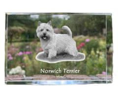 Artdog Norwich terier - kristal s fotografijo psa, fotografija v steklu, sodobna fotografska razstava znamke Art-Dog