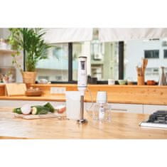 Black+Decker PALIČNI MEŠALNIK 600 W Z DODATKI BXHBA750E