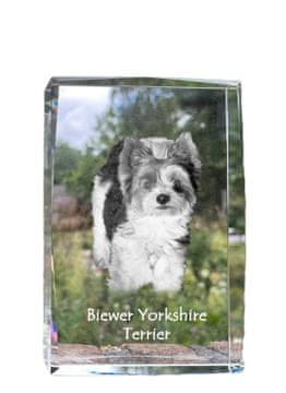 Artdog Biewer Yorkshire Terrier - kristal s fotografijo psa, fotografija v steklu, sodobna fotografska razstava Art-Dog