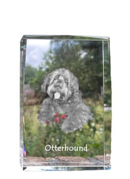 Artdog Otterhound, Otter dog - kristal s fotografijo psa, fotografija v steklu, sodobna fotografska razstava Art-Dog