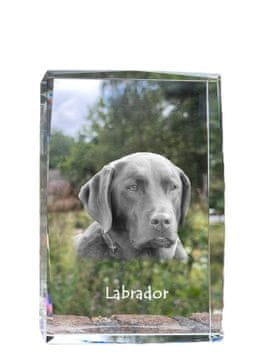 Artdog Labradorec - kristal s fotografijo psa, fotografija v steklu, sodobna fotografska razstava Art-Dog