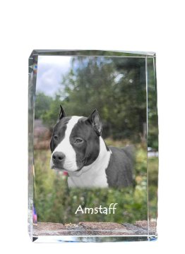 Artdog Ameriški staffordshirski terier, Amstaff, Amstaf - kristal s fotografijo psa, fotografija v steklu, sodobna fotografska razstava Art-Dog