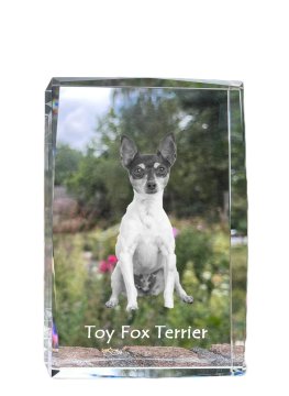 Artdog Ameriški toy terier, toy fox terier - kristal s fotografijo psa, fotografija v steklu, sodobna fotografska razstava Art-Dog