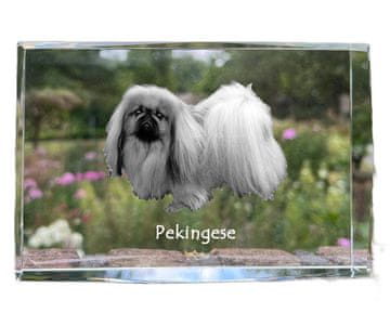 Artdog Pekinezer - kristal s fotografijo psa, fotografija v steklu, sodobna fotografska razstava Art-Dog