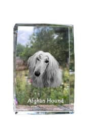 Artdog Afganistanski hrt - kristal s fotografijo psa, fotografija v steklu, sodobna fotografska razstava Art-Dog