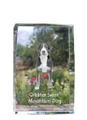 Artdog Veliki švicarski planšarski pes - kristal s fotografijo psa, fotografija v steklu, sodobna fotografska razstava Art-Dog