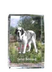 Artdog Bernardin, pes sv. Bernard - kristal s fotografijo psa, fotografija v steklu, sodobna fotografska razstava blagovne znamke Art-Dog